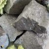 ferrosilicon (1)